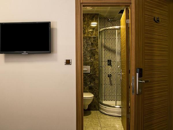 Hotel Atabay : photo 3 de la chambre chambre double ou lits jumeaux standard