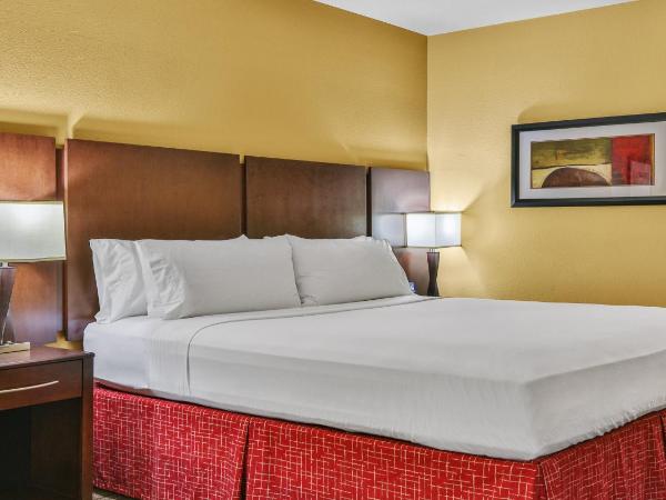 Holiday Inn Express & Suites Houston South - Near Pearland, an IHG Hotel : photo 7 de la chambre chambre standard