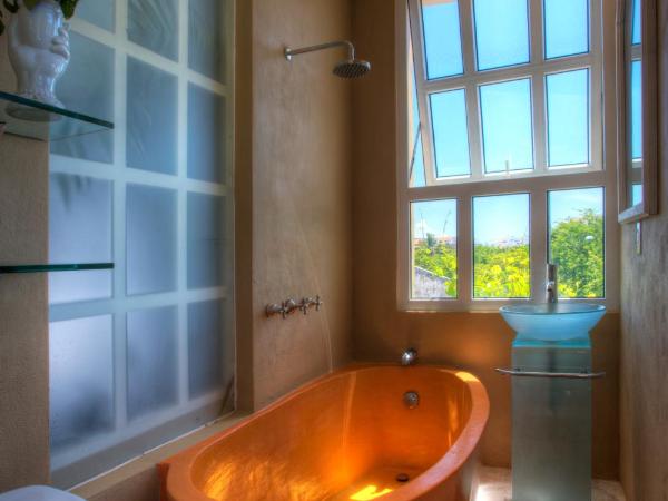 Hotel Boutique Rivera Del Rio : photo 4 de la chambre chambre lit queen-size scarlet