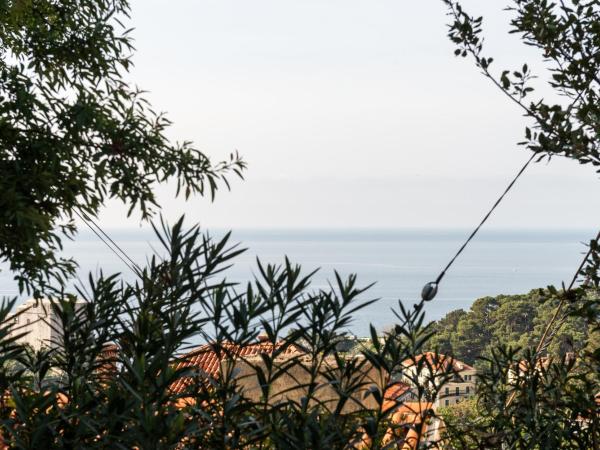 B&B Villa Dubrovnik Garden : photo 10 de la chambre suite - vue sur mer