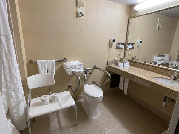 Comfort Inn Ballston : photo 5 de la chambre chambre lit king-size - accessible aux personnes à mobilité réduite/non-fumeurs