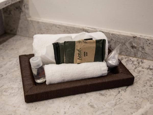 Hotel Boutique Naura Centro : photo 7 de la chambre interior king room