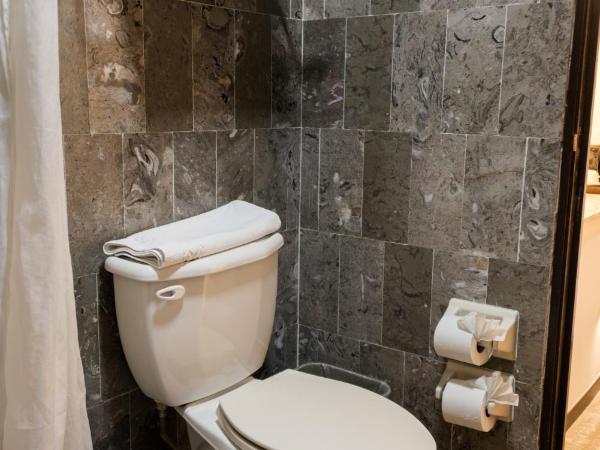 Hotel Boutique Naura Centro : photo 8 de la chambre suite junior