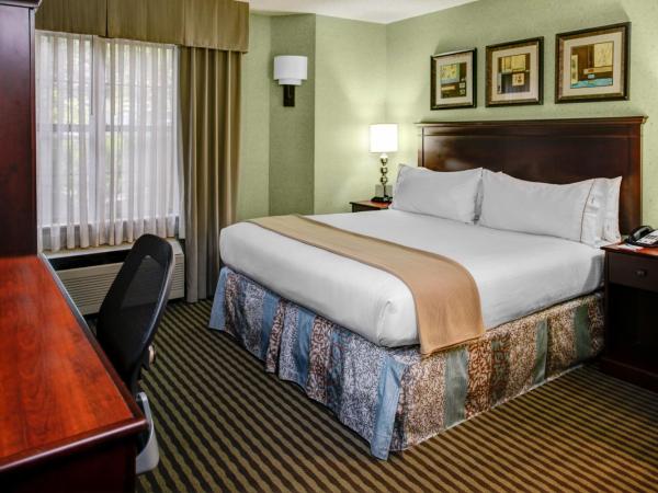 Holiday Inn Express Hotel & Suites Atlanta Buckhead, an IHG Hotel : photo 5 de la chambre chambre lit king-size