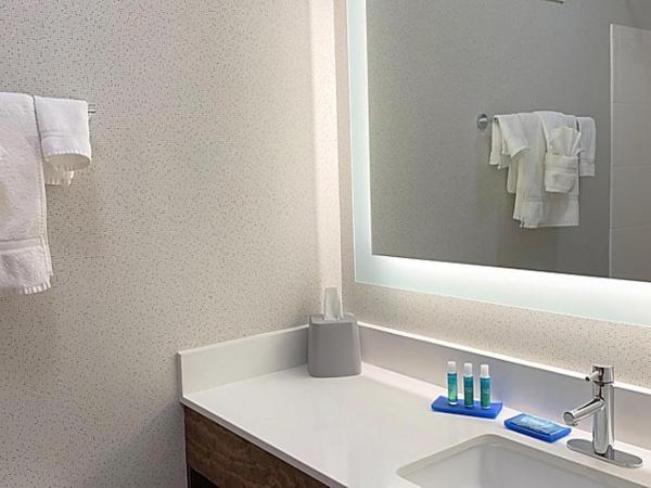 Holiday Inn Express Hotel & Suites Columbia-Fort Jackson, an IHG Hotel : photo 1 de la chambre chambre standard