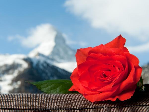 Hotel Hemizeus & Iremia Spa : photo 1 de la chambre chambre lits jumeaux alpine avec vue