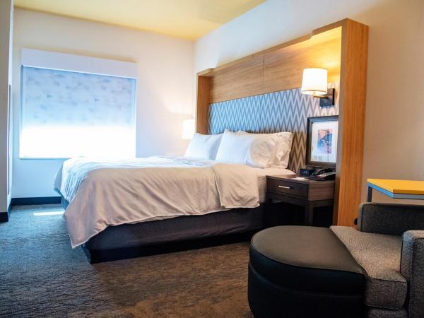 Holiday Inn & Suites - Savannah Airport - Pooler, an IHG Hotel : photo 1 de la chambre chambre lit king-size loisirs - non-fumeurs