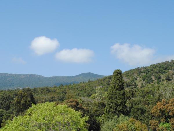 Cap Nègre Hôtel : photo 6 de la chambre chambre double avec balcon