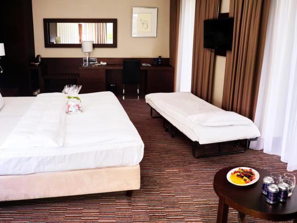 Copernicus Toruń Hotel : photo 4 de la chambre chambre double avec lit d'appoint