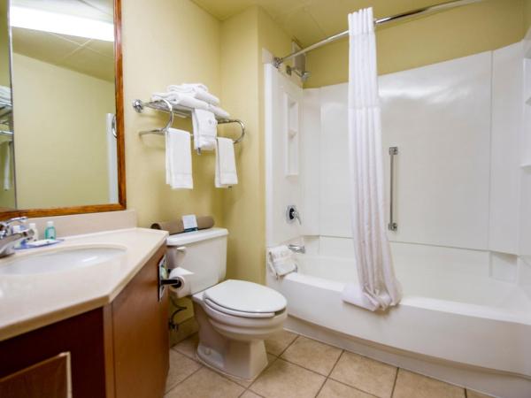 Quality Inn Colorado Springs South : photo 1 de la chambre chambre lit king-size - non-fumeurs