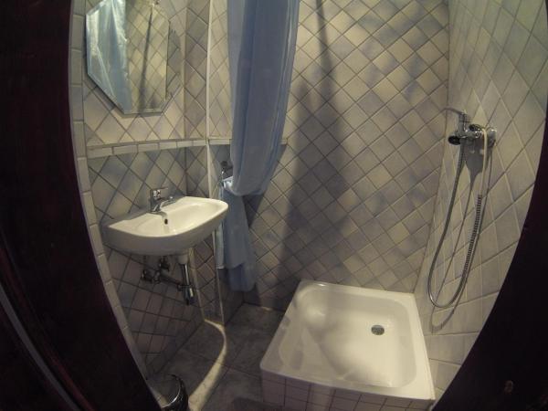 Willa Pod Wieżami : photo 4 de la chambre chambre simple avec salle de bains privative séparée