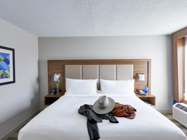 Holiday Inn Express Nashville-Downtown - Broadway, an IHG Hotel : photo 2 de la chambre suite 1 chambre lit king-size