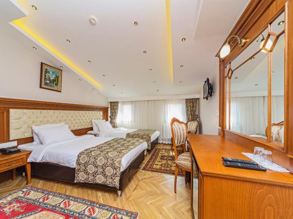 Hotel Spectra Sultanahmet : photo 3 de la chambre chambre lits jumeaux standard