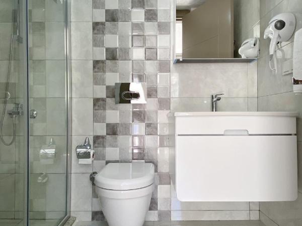 Azize Palas Apart Otel : photo 3 de la chambre chambre double standard