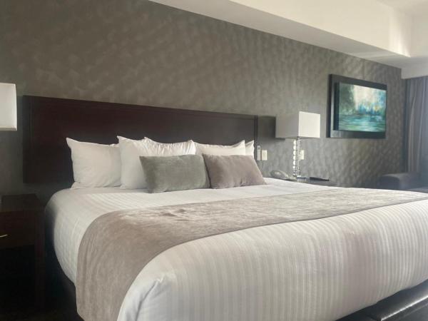 Ejecutivo Express Guadalajara Providencia - Av México : photo 6 de la chambre suite exécutive