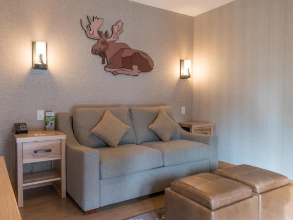 Moose Hotel and Suites : photo 2 de la chambre suite 1 chambre lit king-size