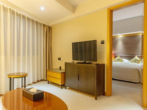 Aurum International Hotel Xi'an : photo 7 de la chambre suite standard