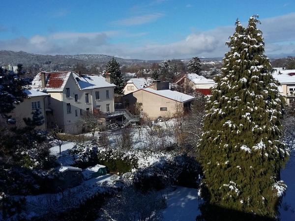 Les Chambres de l'Ile : photo 5 de la chambre appartement 1 chambre