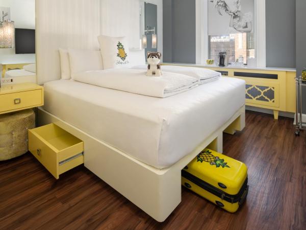 Staypineapple, A Delightful Hotel, South End : photo 3 de la chambre chambre lit king-size deluxe