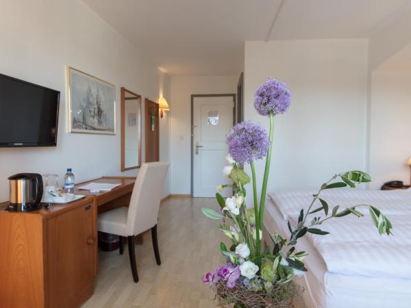 Hôtel de la Rose : photo 2 de la chambre chambre double Économique