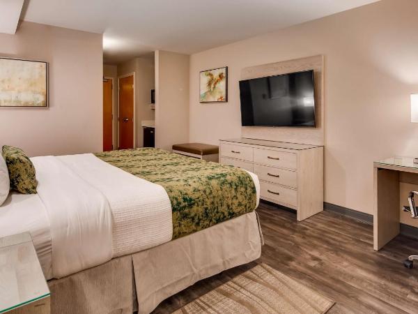 Best Western Premier I-95 Savannah Airport/ Pooler West : photo 6 de la chambre chambre lit king-size - non-fumeurs