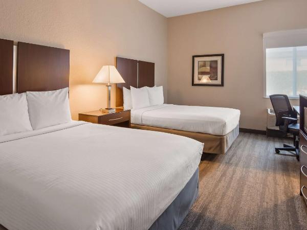 Best Western Tampa : photo 4 de la chambre suite lit king-size