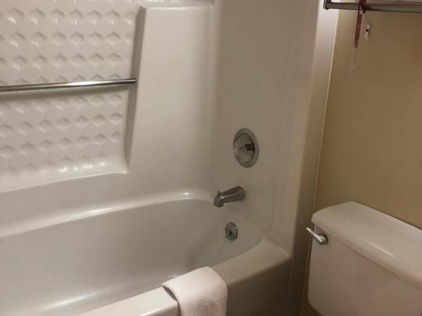 Econo Lodge Metro : photo 7 de la chambre chambre lit king-size