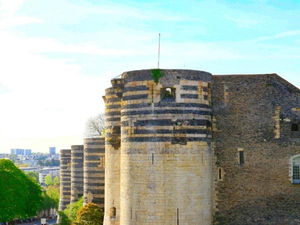 Logis Hôtel Marguerite d'Anjou : photo 1 de la chambre chambre double classique - vue sur château