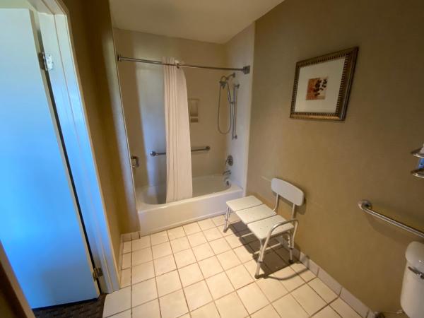 Hotel Silver Lake : photo 4 de la chambre chambre lit king-size - accessible aux personnes à mobilité réduite