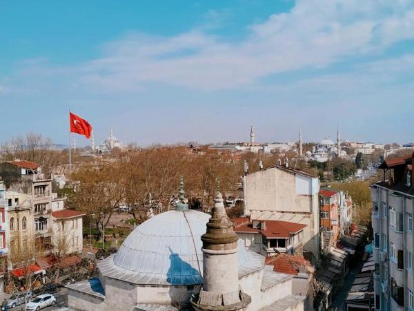 Dareyn Hotel : photo 8 de la chambre chambre triple - vue sur ville