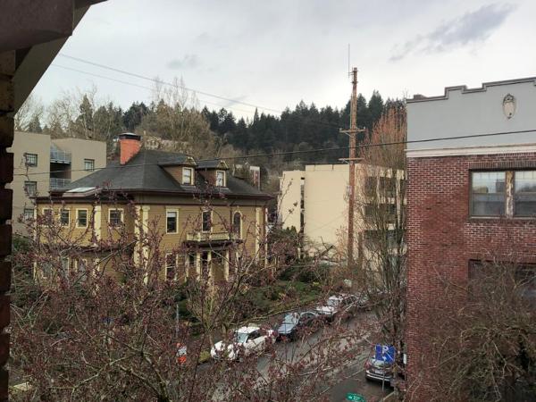 Portland International Guesthouse : photo 7 de la chambre chambre simple Économique