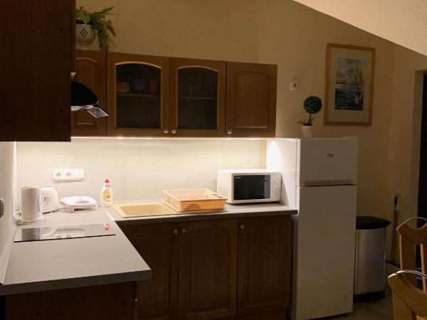 Balaton Kinizsi Apartman : photo 7 de la chambre appartement supérieur