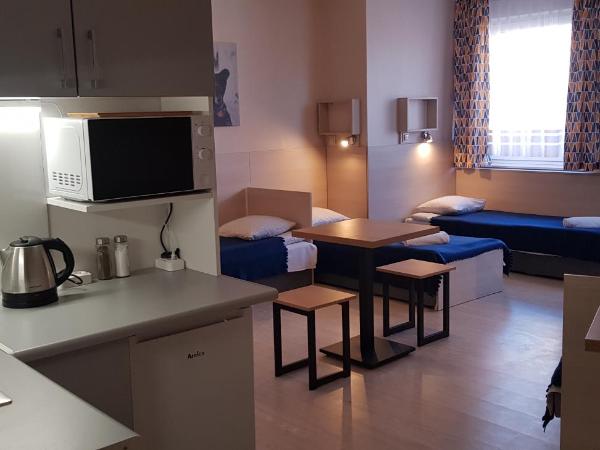 Willa Głogowska : photo 2 de la chambre appartement 1 chambre