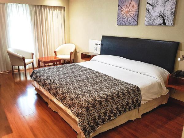 Quorum Córdoba Hotel, Resort Urbano : photo 5 de la chambre chambre supérieure