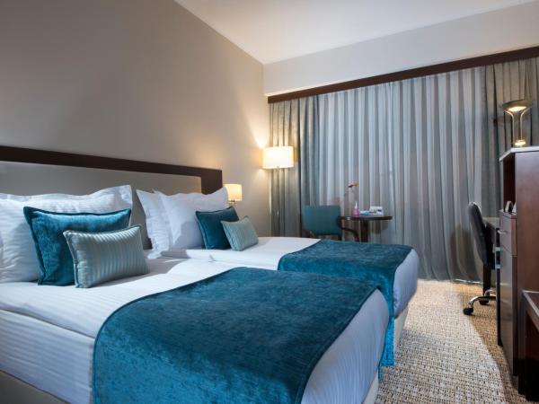 Radisson Blu Ankara : photo 7 de la chambre chambre standard