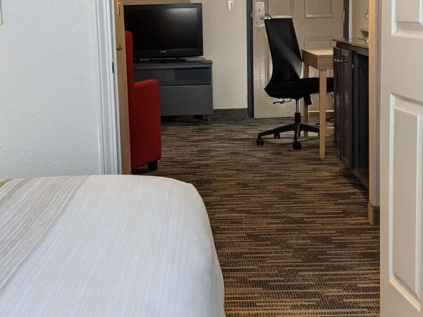 Country Inn & Suites by Radisson, Nashville, TN : photo 8 de la chambre suite 1 chambre lit king-size avec canapé-lit - non-fumeurs