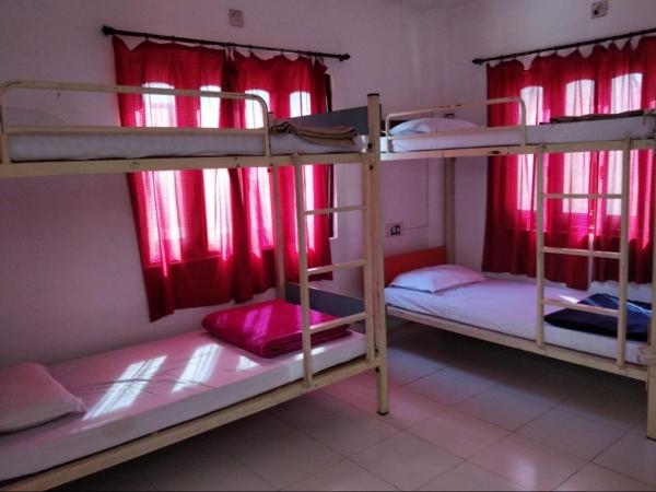 The Hostel Crown : photo 1 de la chambre 6 bed non-ac mixed dormitory room