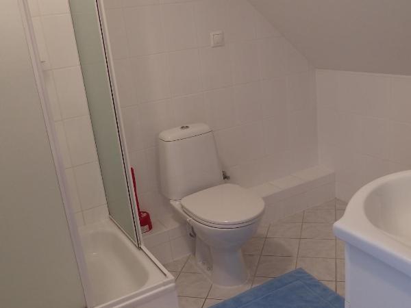 Penzion U Studánky : photo 4 de la chambre chambre simple avec salle de bains