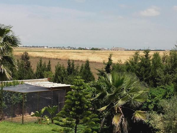 Riad TANJIL : photo 6 de la chambre chambre lit king-size avec balcon