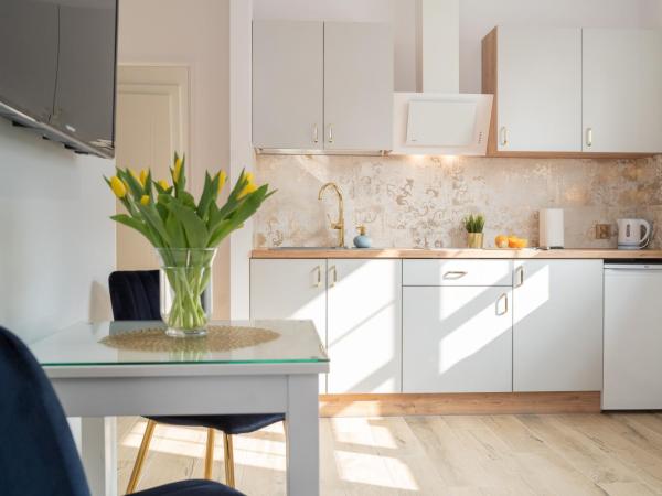 Helios Aparthotel : photo 1 de la chambre premium apartment with kitchenette and balcony (2 adults)