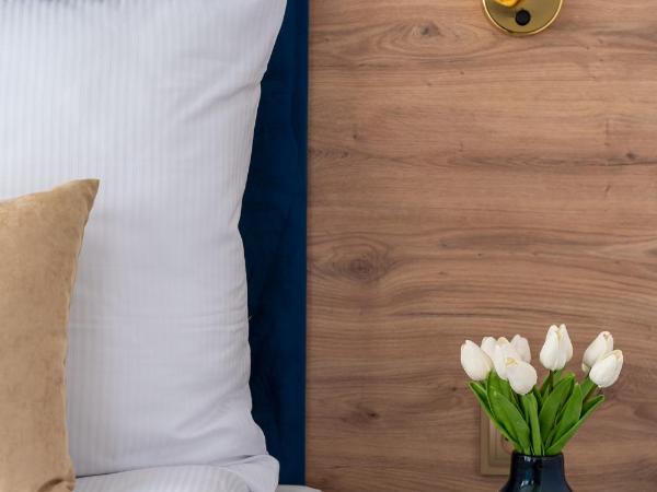 Helios Aparthotel : photo 7 de la chambre appartement 1 chambre