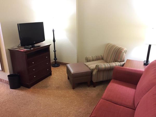 Country Inn & Suites by Radisson, Atlanta Downtown : photo 4 de la chambre suite 1 chambre lit queen-size - non-fumeurs