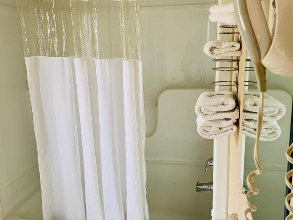 Green Acres Motel : photo 5 de la chambre suite junior