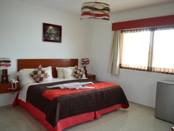 Hotel Real Mercedes : photo 1 de la chambre suite junior