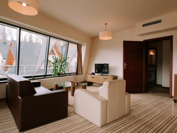 Szklane Domy : photo 3 de la chambre appartement 1 chambre - vue sur montagne