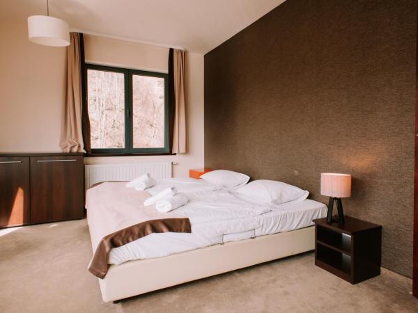 Szklane Domy : photo 7 de la chambre appartement 1 chambre - vue sur montagne