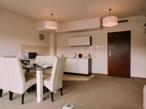 Szklane Domy : photo 3 de la chambre appartement 2 chambres