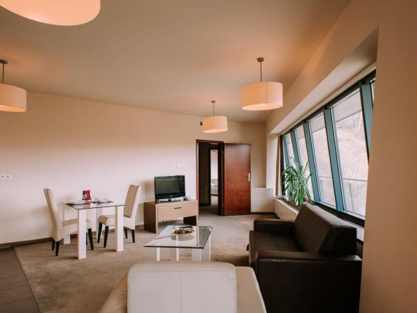 Szklane Domy : photo 8 de la chambre appartement 1 chambre - vue sur montagne