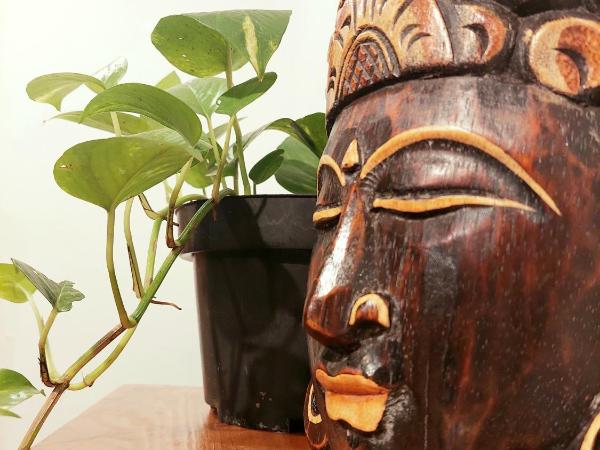 Snooze : photo 5 de la chambre lit dans dortoir mixte de 4 lits