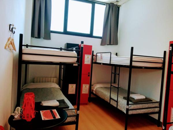 Bilbao Akelarre Hostel : photo 6 de la chambre lit dans dortoir pour femmes de 4 lits